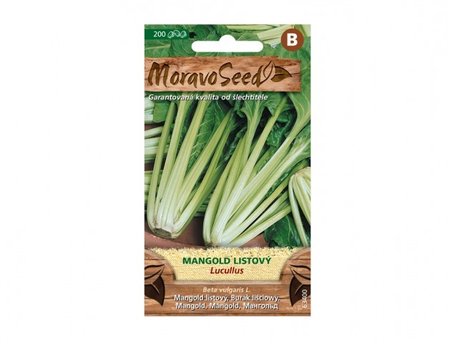Osivo - Mangold listov LUCULLUS, zelen