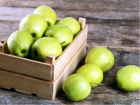 Jabloň PRŮSVITNÉ LETNÍ - vysokokmen - podnož jabl. semenáč