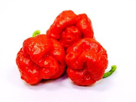 Chilli paprika TRINIDAD MORUGA SCORPION