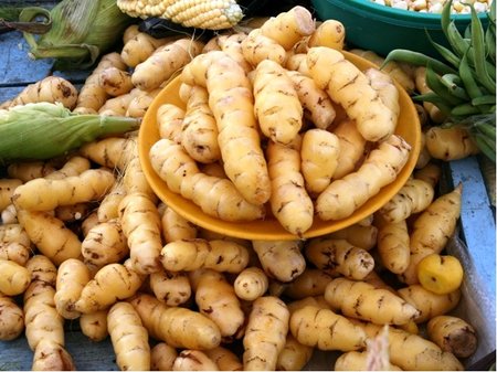 YAM bl Peru