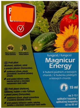 Magnicur Energy 15ml