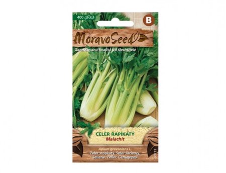 Osivo - Celer řapíkatý MALACHIT, zelený