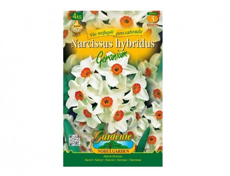 Cibulky - Narcis botanický GERANIUM, 4 ks
