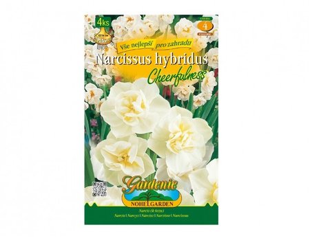 Cibulky - Narcis botanický CHEERFULNESS, 4 ks