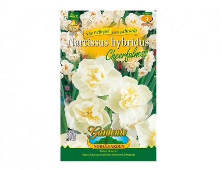 Cibulky - Narcis botanick CHEERFULNESS, 4 ks