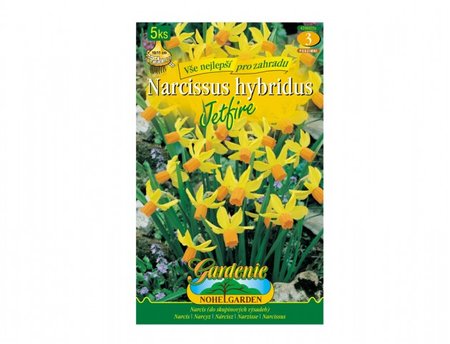 Cibulky - Narcis botanický JETFIRE, 5 ks