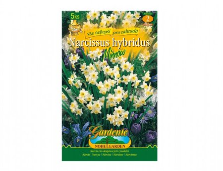 Cibulky - Narcis botanický MINNOW, 5 ks