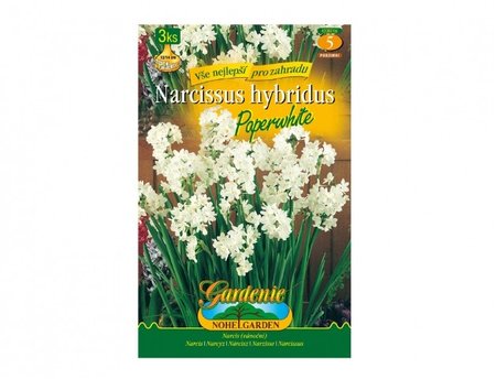 Cibulky - Narcis botanický PAPERWHITE, 3 ks