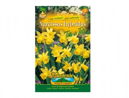Cibulky - Narcis botanický TÉTE a TÉTE, 5 ks