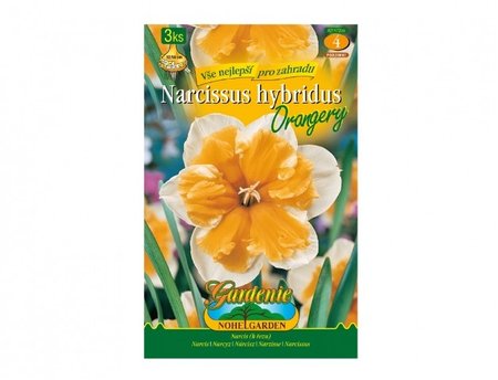 Cibulky - Narcis zahradní, orchideokvětý ORANGERY, 3 ks