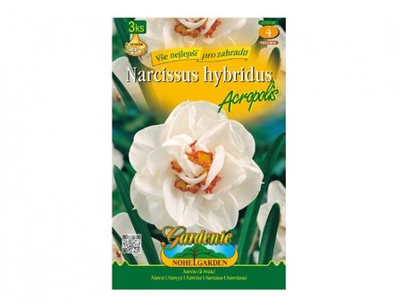 Cibulky - Narcis zahradní, plnokvětý ACROPOLIS, 3 ks