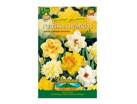 Cibulky - Narcis zahradní, plnokvětý směs, 5 ks