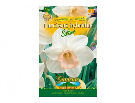Cibulky - Narcis zahradní, velkokorunný SALOME, 4 ks