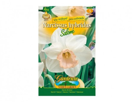 Cibulky - Narcis zahradn, velkokorunn SALOME, 4 ks