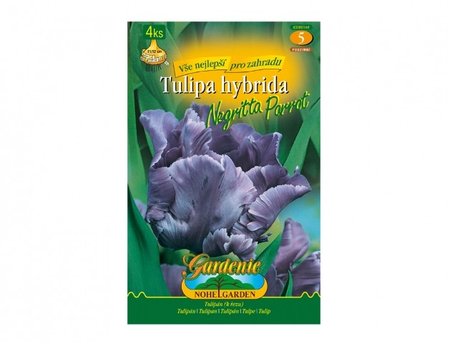 Cibulky - Tulipn papoukovit NEGRITTA PARROT, 4 ks