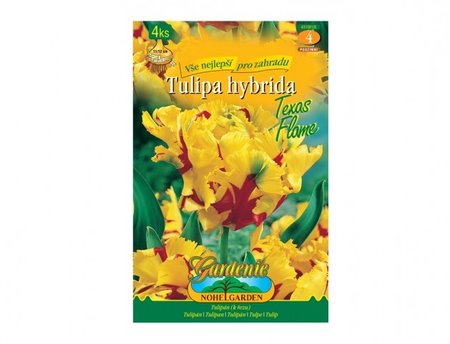 Cibulky - Tulipn papoukovit TEXAS FLAME, 4 ks