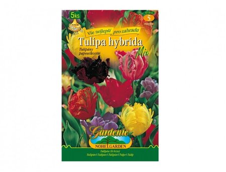 Cibulky - Tulipán papouškovitý, směs, 5 ks