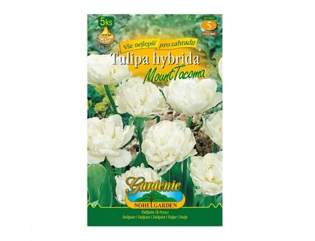 Cibulky - Tulipn pln pozdn, pivokovit MOUNT TACOMA, 5 ks