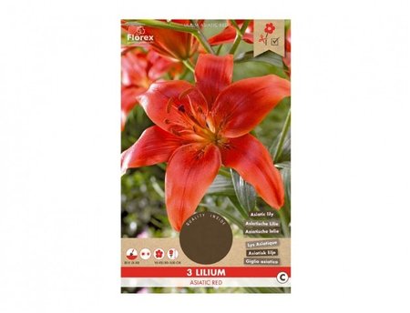 Cibulky - Lilie, asijské hybridy RED, 3 ks