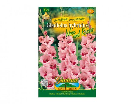 Cibulky - Gladiola velkokvt WINE AND ROSES, 7 ks