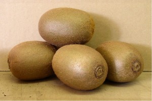 Kiwi velkoplod HAYWARD - samice