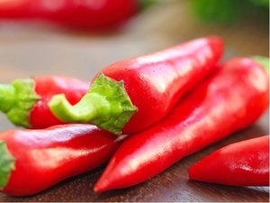 Sadba - Paprika HOT FAJITA - erven, pliv