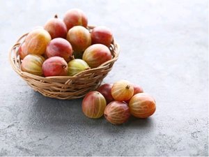 Angret LAPRIMA(s) - keov, ervenolut