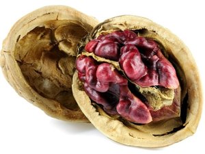 Oek vlask WISNIC CZERWONY v kontejneru