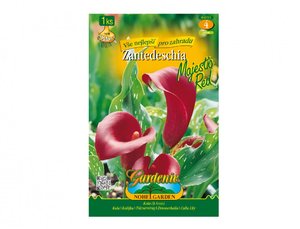 Cibulky - Kala MAJESTIC RED, 1 ks