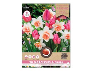 Cibulky - Sms PROMO - tulipn, narcis PINK FUSION, 20ks