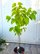 3929_00.jpg