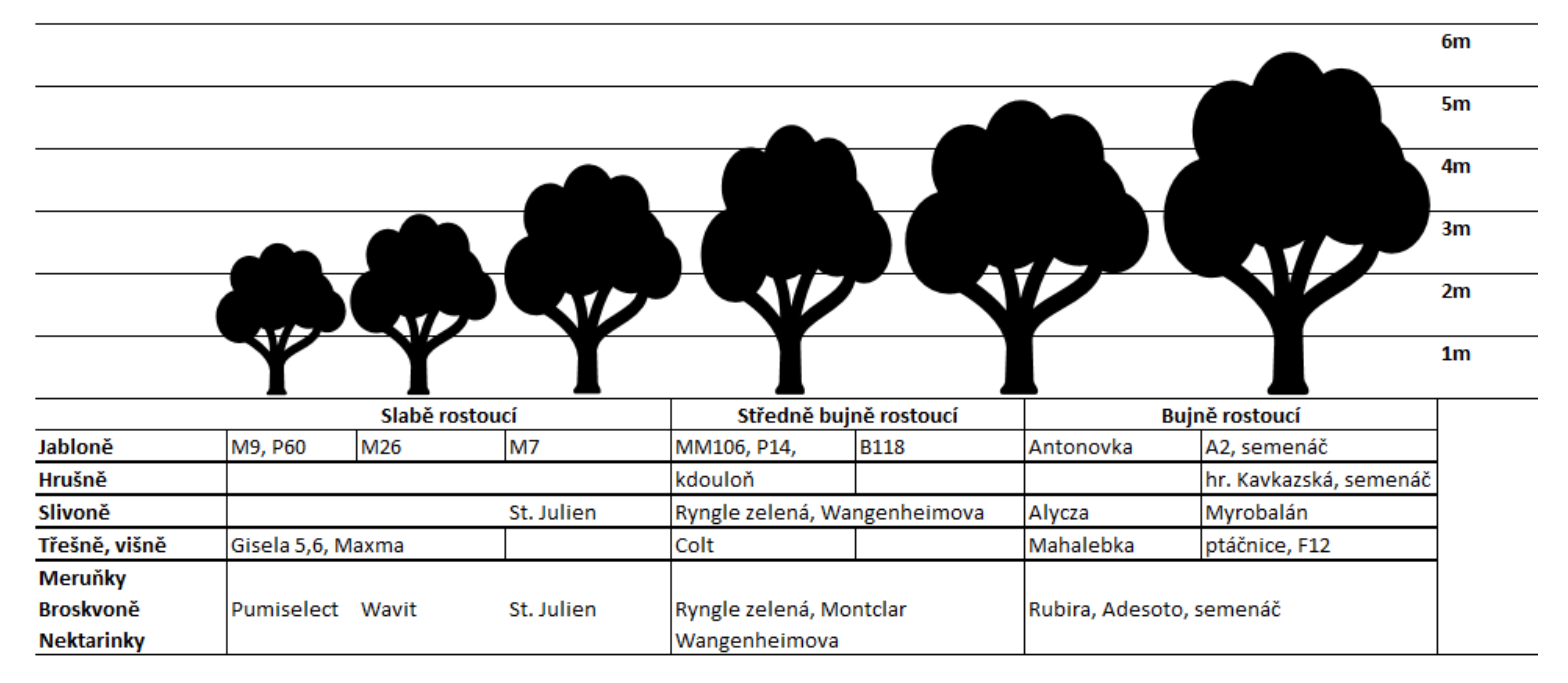 Co je podnož Caucasica?